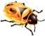 firebug-large[1]